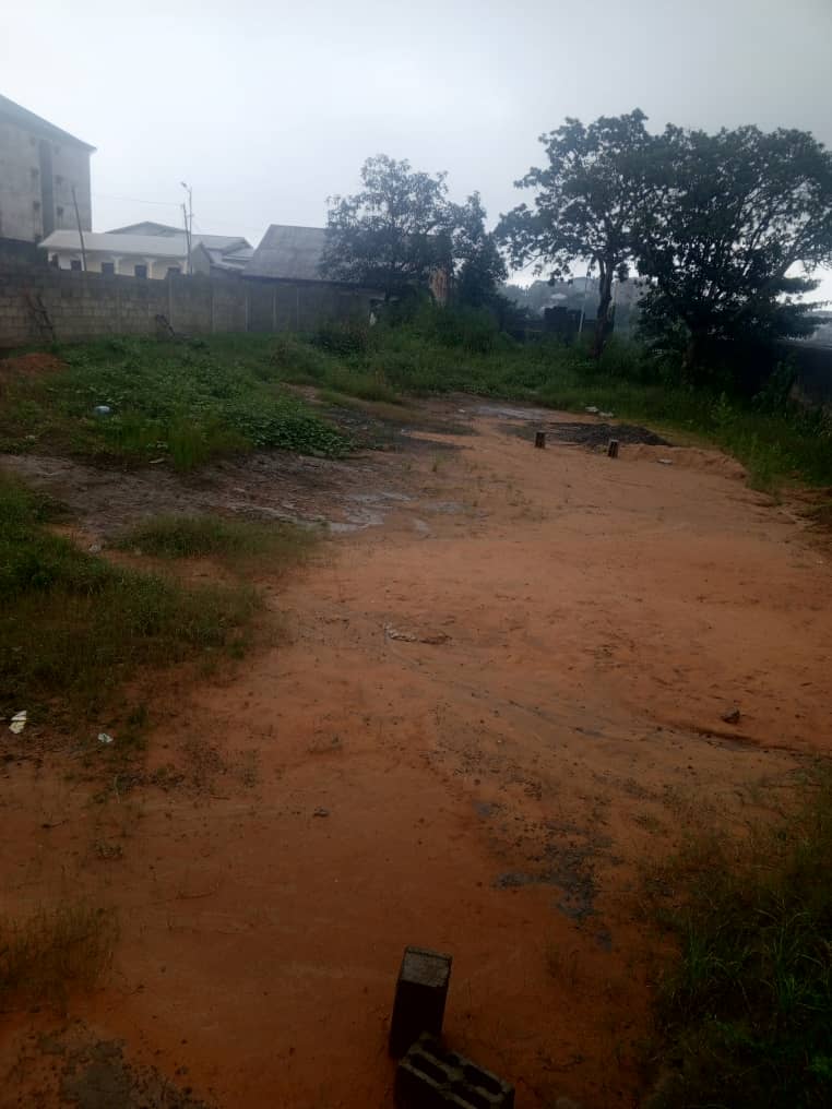 Terrain à vendre - Douala, Logpom, Bangos vers marché Beedi - 1000 m2 - 160 000 000 FCFA