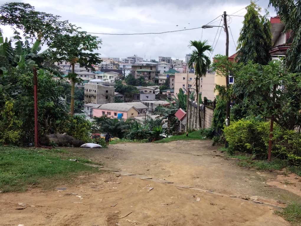 Terrain à vendre - Douala, Yassa, École québécois - 300 m2 - 21 000 000 FCFA