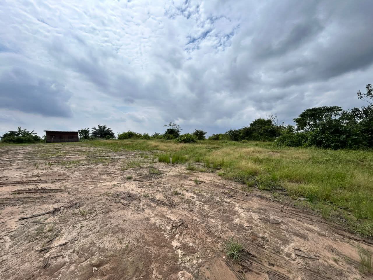 Terrain à vendre - Douala, Yassa, Mbwag bakoko - 500 m2 - 17 500 000 FCFA