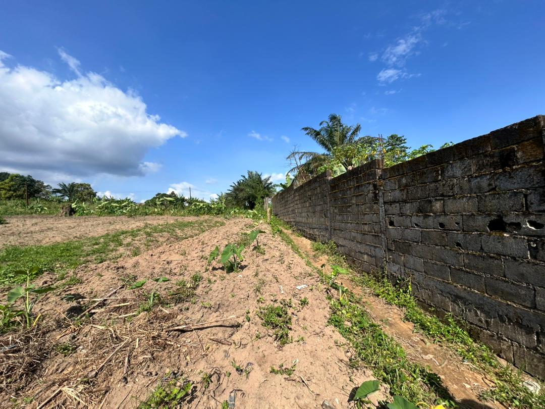 Land for sale at Douala, Yassa, Maetur - 200 m2 - 10 000 000 FCFA