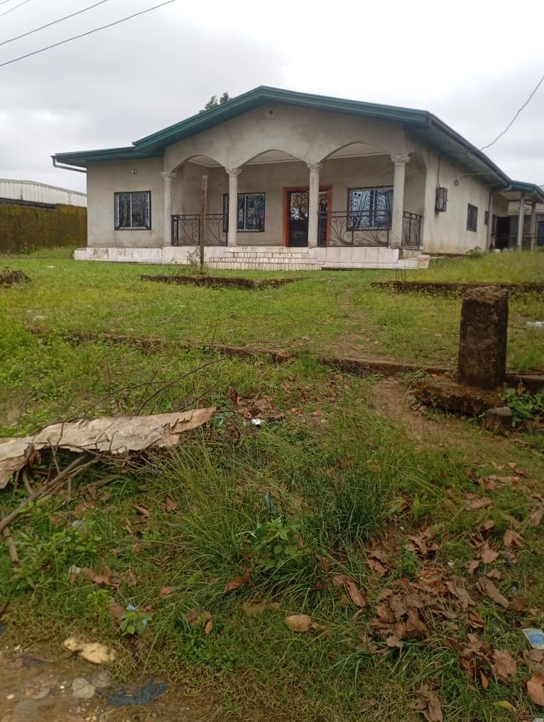 House (Villa) for sale - Douala, Beedi, Plateau - 1 living room(s), 4 bedroom(s), 3 bathroom(s) - 70 000 000 FCFA / month