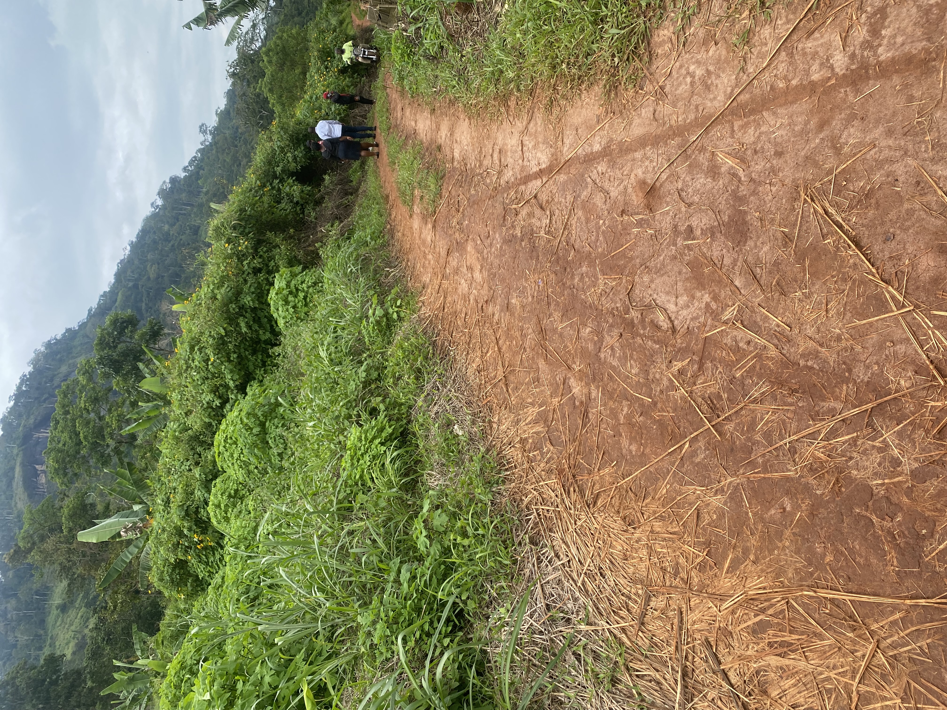 Land for sale at Yaoundé, Nkolondom, Samba - 1000 m2 - 20 000 000 FCFA