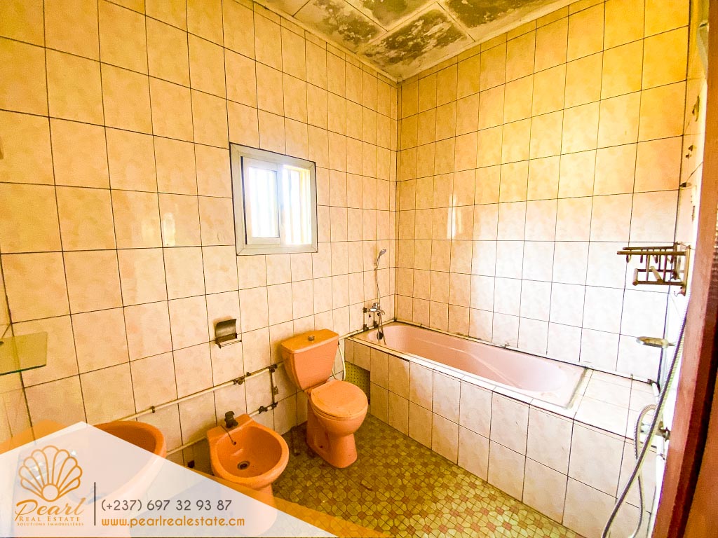 Office to rent at Yaoundé, Bastos, Tradex Bastos - 260 m2 - 800 000 FCFA