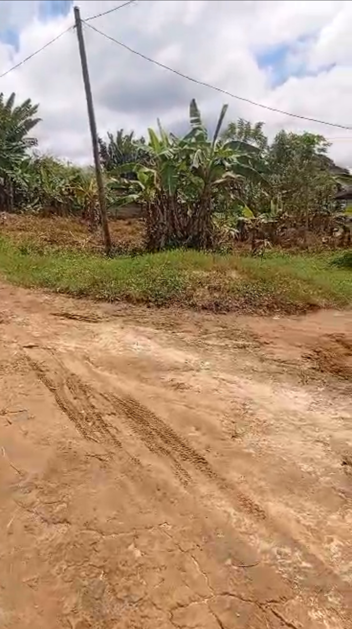 Land for sale at Yaoundé, Mbankomo, Ngoumou - 2000 m2 - 20 000 000 FCFA
