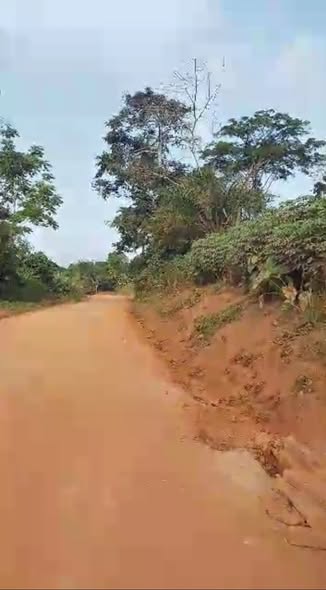 Land for sale at Yaoundé, Messassi, ebt nkolondoum - 1500 m2 - 22 500 000 FCFA