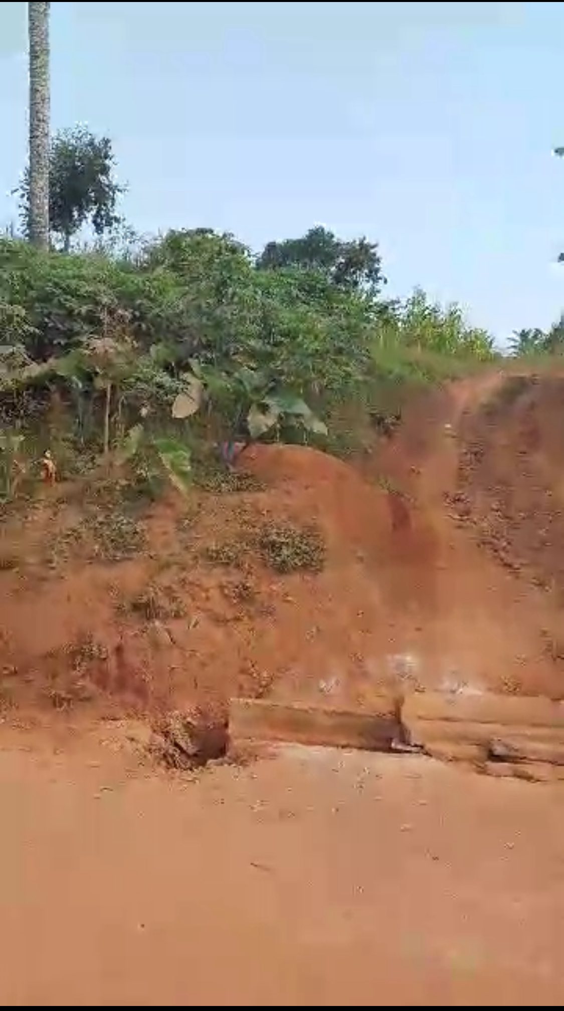 Land for sale at Yaoundé, Messassi, ebt nkolondoum - 1500 m2 - 22 500 000 FCFA