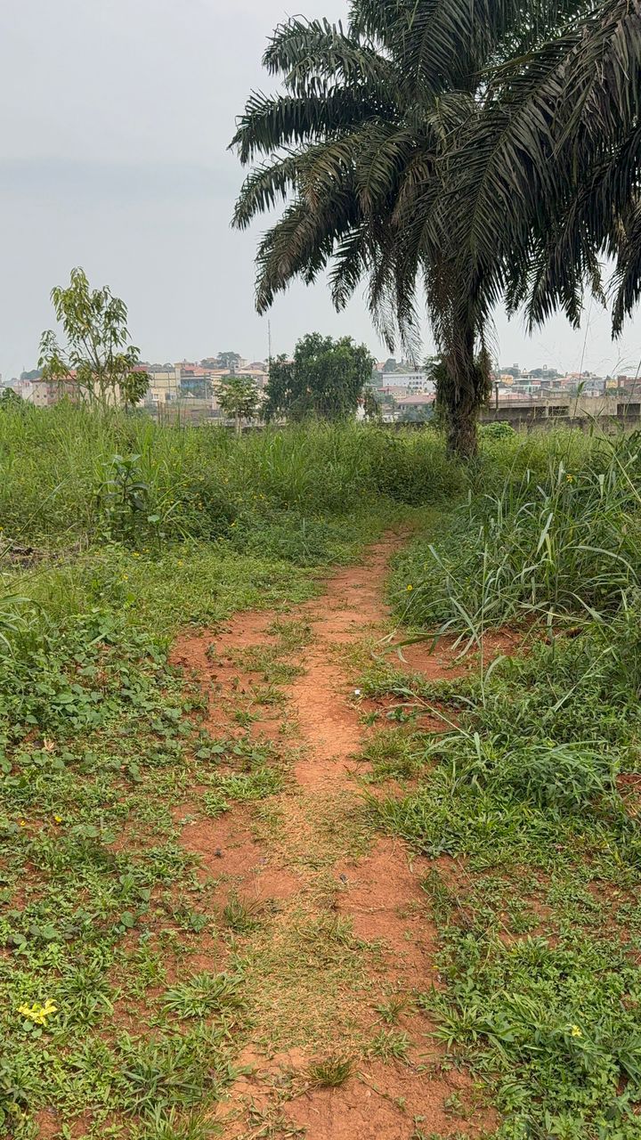 Land for sale at Yaoundé, Nkolfoulou, Carrefour - 2219 m2 - 88 760 000 FCFA