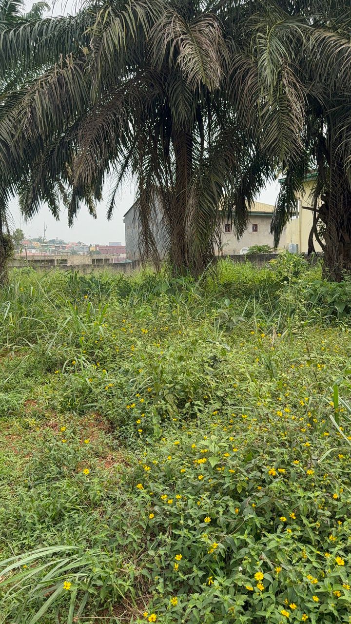 Land for sale at Yaoundé, Nkolfoulou, Carrefour - 2219 m2 - 88 760 000 FCFA