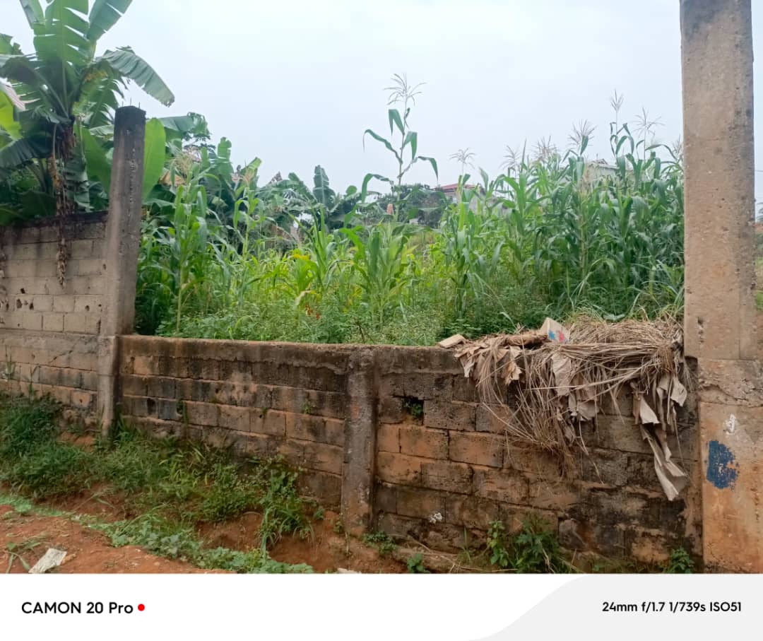 Land for sale at Yaoundé, Mvan, Complexe Béac - 1230 m2 - 49 200 000 FCFA