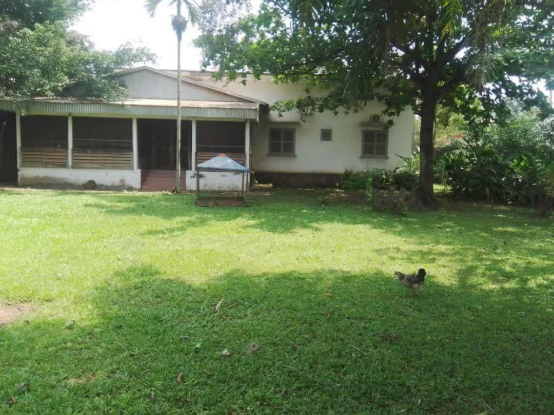 Office to rent at Yaoundé, Elig-essono, Elig essono - 800 m2 - 1 500 000 FCFA