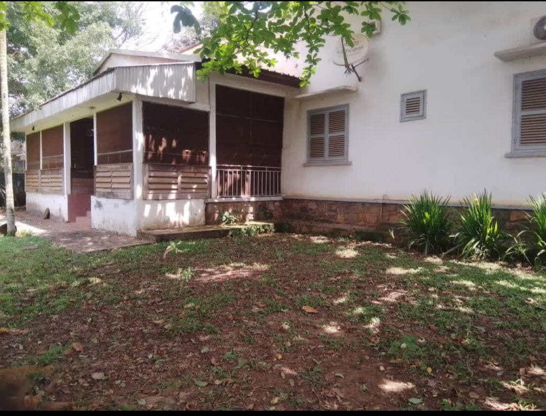 Bureau à louer à Yaoundé, Elig-essono, Elig essono - 800 m2 - 1 500 000 FCFA