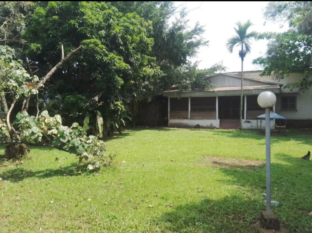 House (Villa) to rent - Yaoundé, Elig-essono, Elig essono - 1 living room(s), 3 bedroom(s), 3 bathroom(s) - 1 000 000 FCFA / month