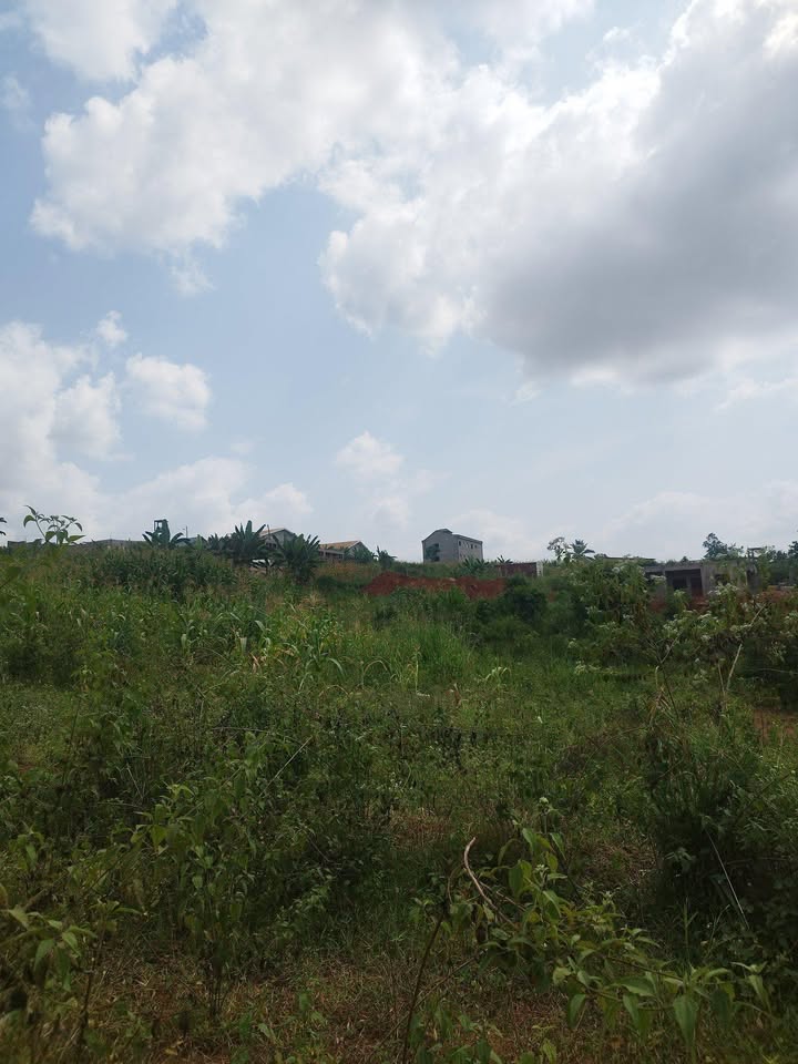 Land for sale at Yaoundé, Nkolfoulou, tsinga village - 500 m2 - 10 000 000 FCFA