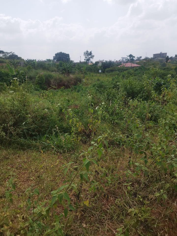 Land for sale at Yaoundé, Nkolfoulou, tsinga village - 500 m2 - 10 000 000 FCFA