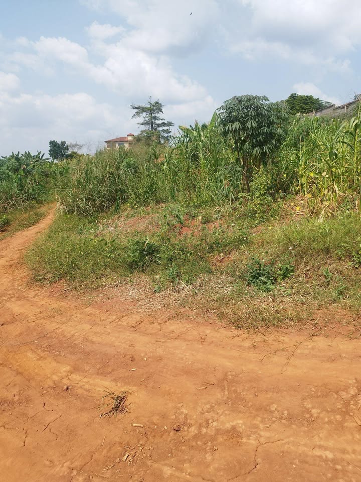 Land for sale at Yaoundé, Nkolfoulou, tsinga village - 500 m2 - 12 500 000 FCFA