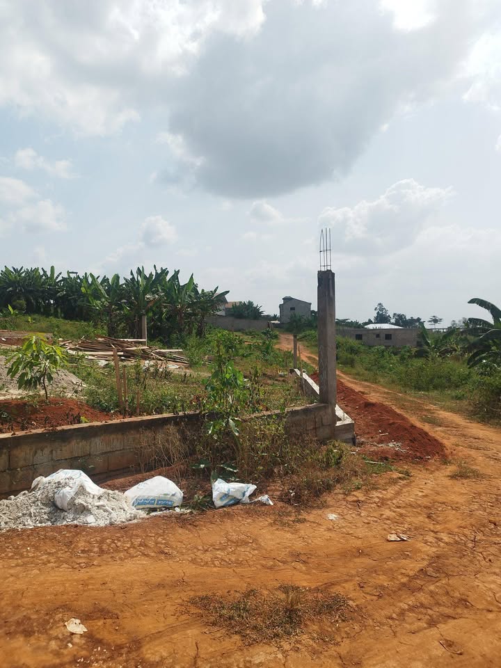 Land for sale at Yaoundé, Nkolfoulou, tsinga village - 500 m2 - 12 500 000 FCFA