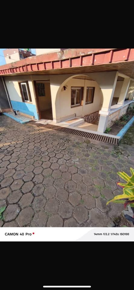 House (Villa) to rent - Yaoundé, Eleveur, fougerolle - 2 living room(s), 3 bedroom(s), 3 bathroom(s) - 300 000 FCFA / month