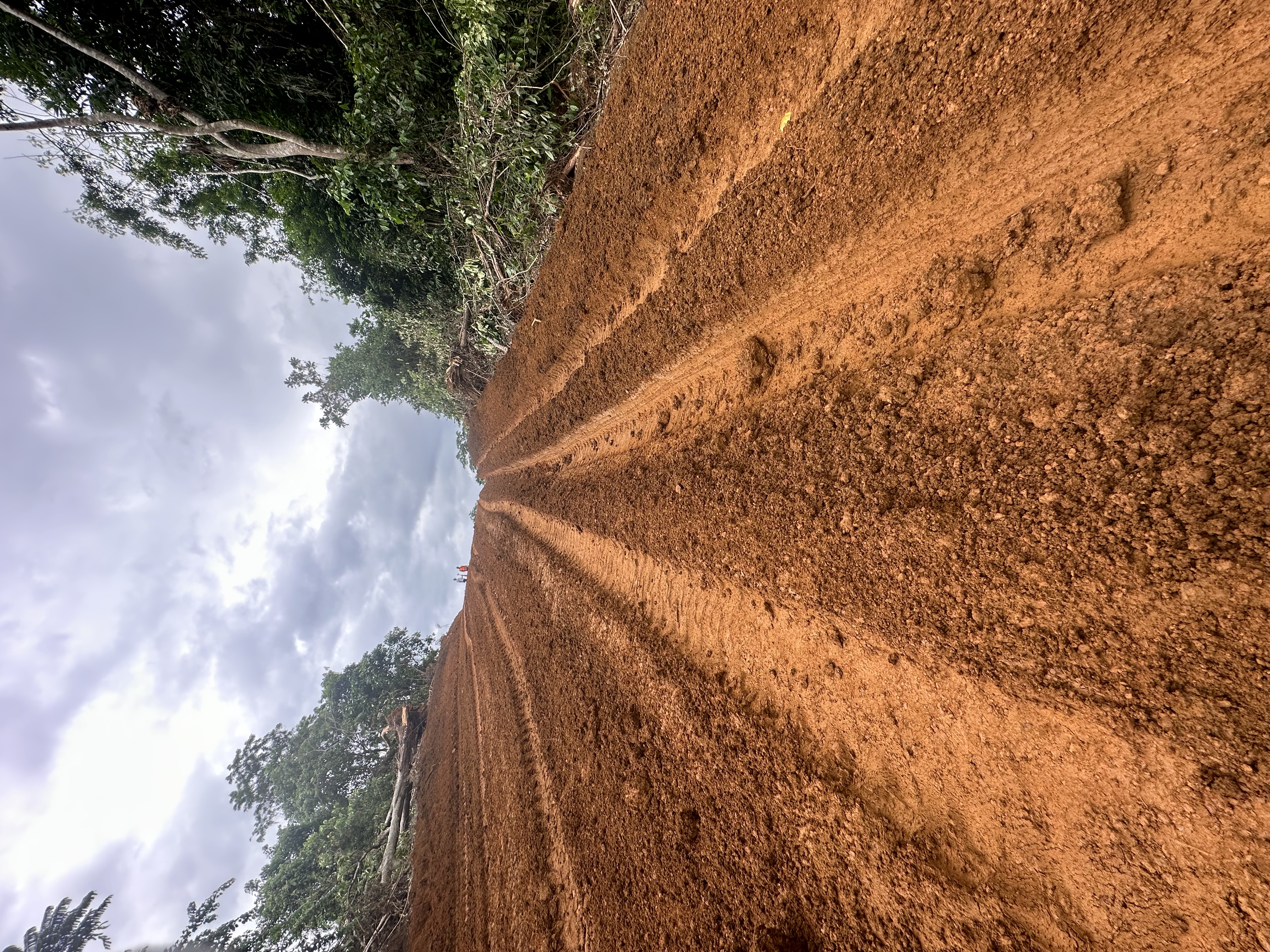 Land for sale at Yaoundé, Soa, Medoubou - 15000000 m2 - 15 000 000 FCFA