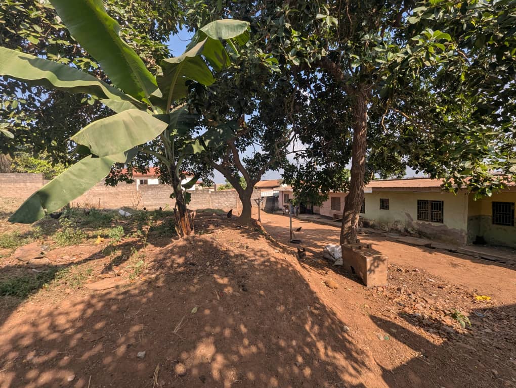 Land for sale at Yaoundé, Ngousso, Hôtel le paradis - 500 m2 - 50 000 000 FCFA