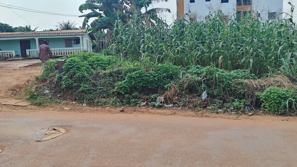 Land for sale at Yaoundé, Odza, Minkan - 492 m2 - 17 220 000 FCFA