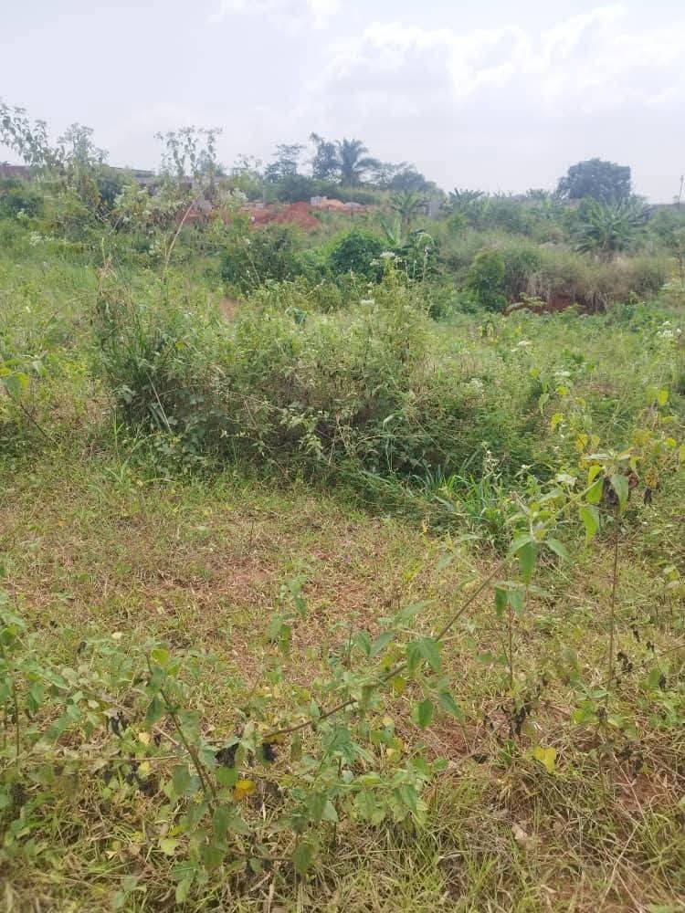 Land for sale at Yaoundé, Bastos, parcours vita - 200000000 m2 - 200 000 000 FCFA