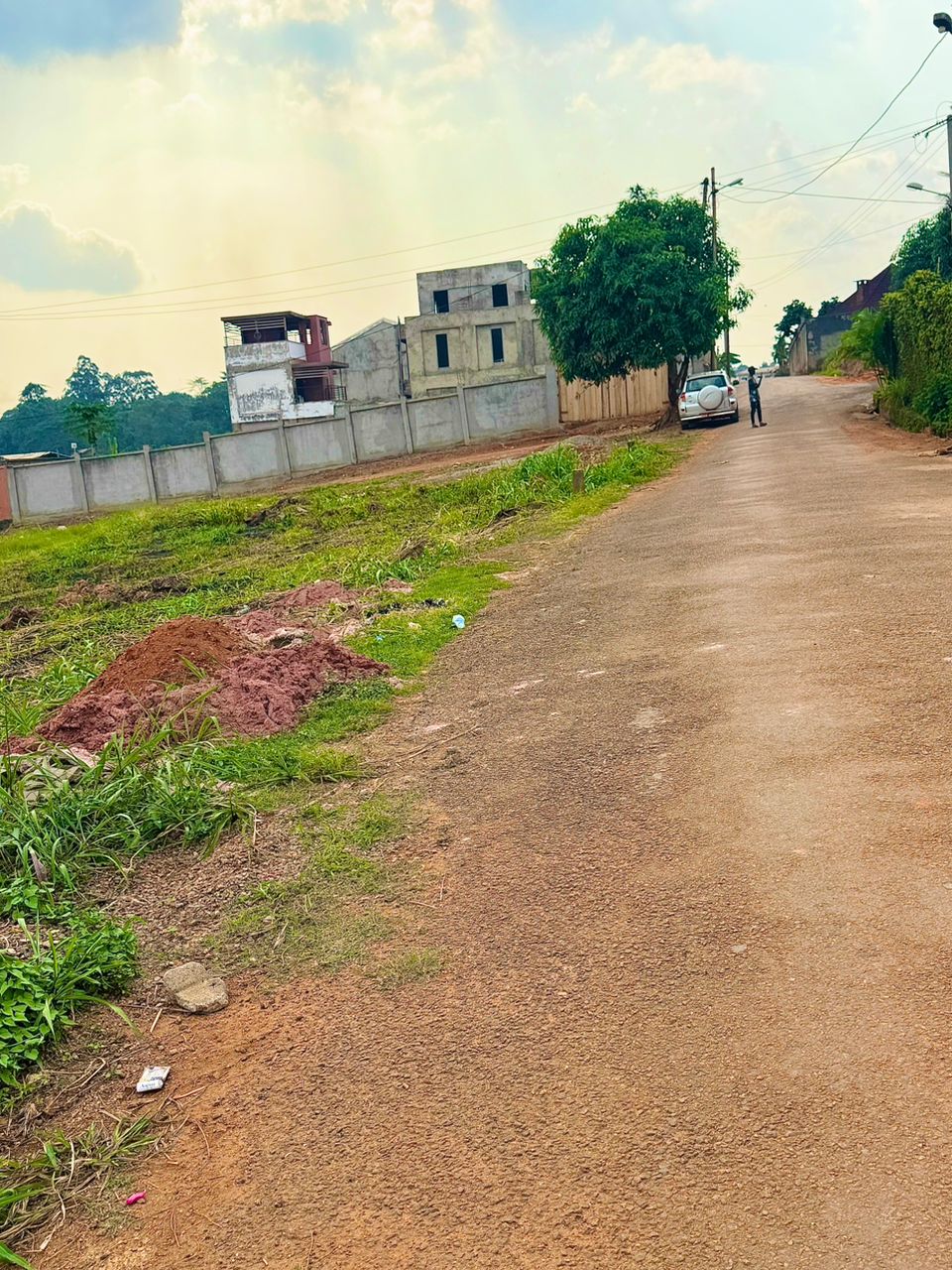 Land for sale at Yaoundé, Odza, Auberge bleu - 1229 m2 - 86 030 000 FCFA