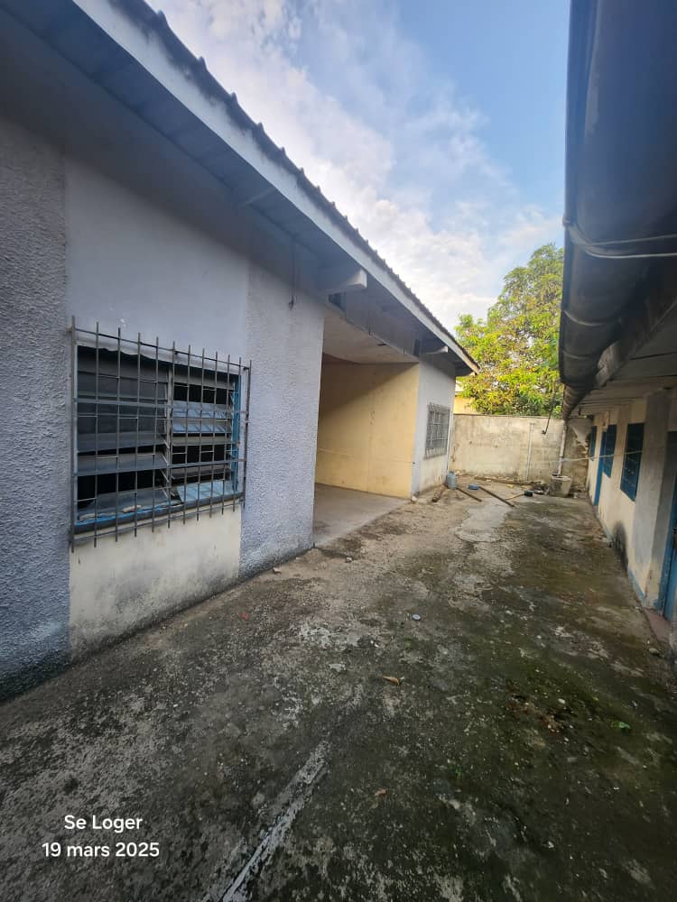 House (Villa) for sale - Douala, Cite Ubo Palmiers, Sur le bitume secondaire - 1 living room(s), 4 bedroom(s), 3 bathroom(s) - 85 000 000 FCFA / month