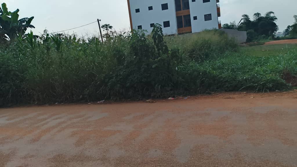 Terrain à vendre - Yaoundé, Odza, Minkan - 492 m2 - 17 220 000 FCFA