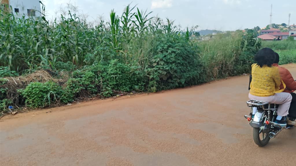 Terrain à vendre - Yaoundé, Odza, Minkan - 492 m2 - 17 220 000 FCFA