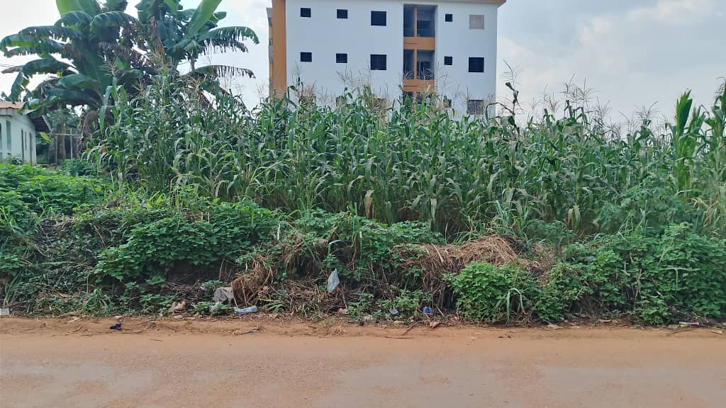 Terrain à vendre - Yaoundé, Odza, Minkan - 492 m2 - 17 220 000 FCFA