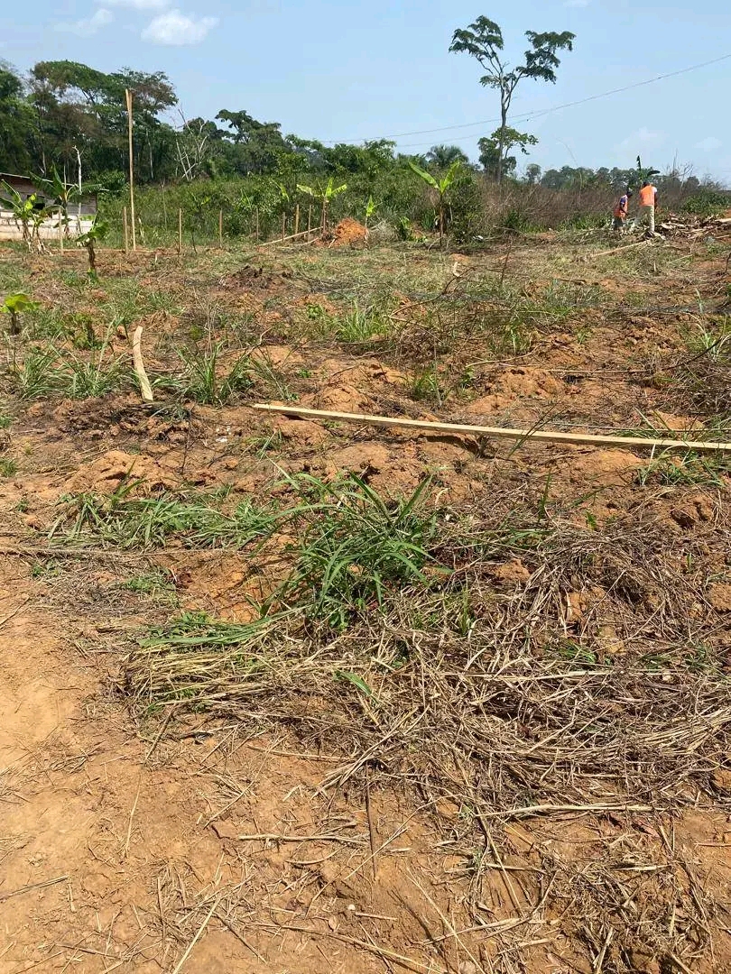 Terrain à vendre - Yaoundé, Nsimalen, Benebalot - 10000 m2 - 70 000 000 FCFA