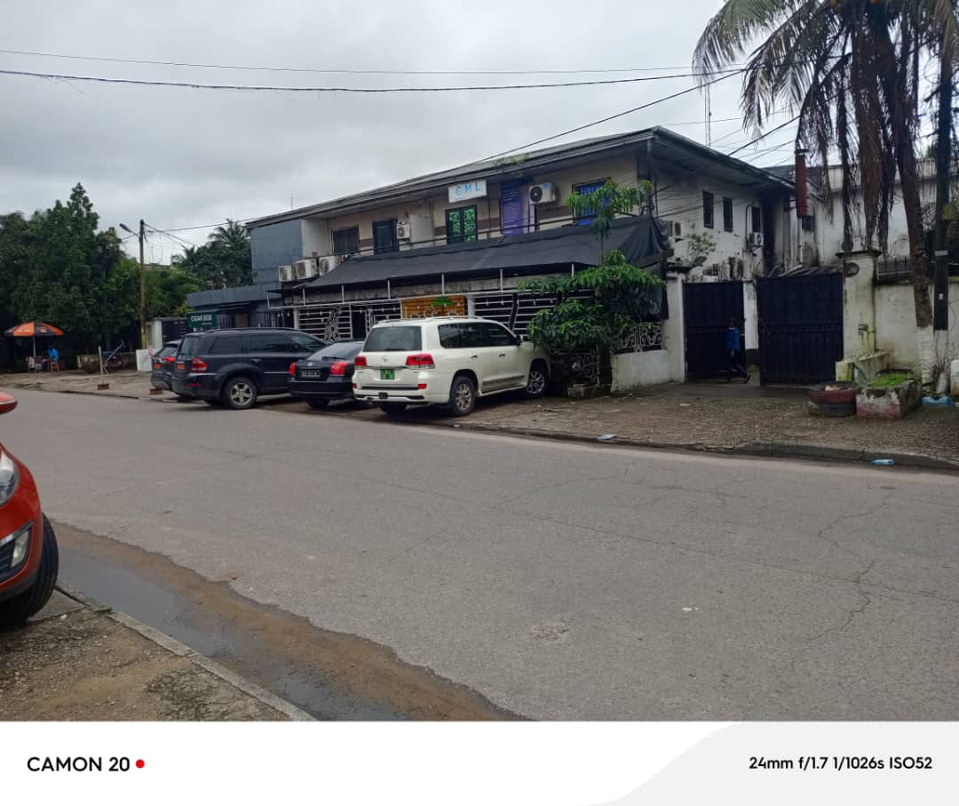 Terrain à vendre - Douala, Bonapriso, 1000m2 de terrain à  vendre  en plein cœur de bonapriso - 1000 m2 - 1 200 000 000 FCFA