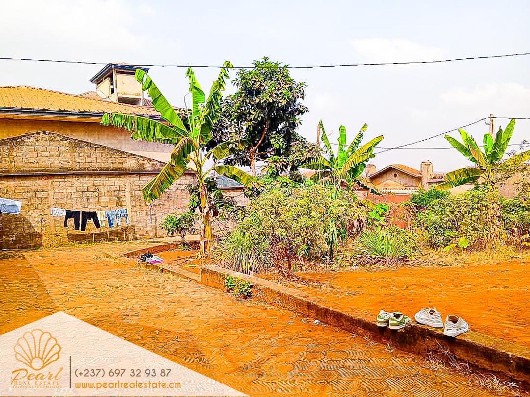 Maison (Concession) à vendre - Yaoundé, Essos, Mobil - 2 salon(s), 6 chambre(s), 4 salle(s) de bains - 65 000 000 FCFA