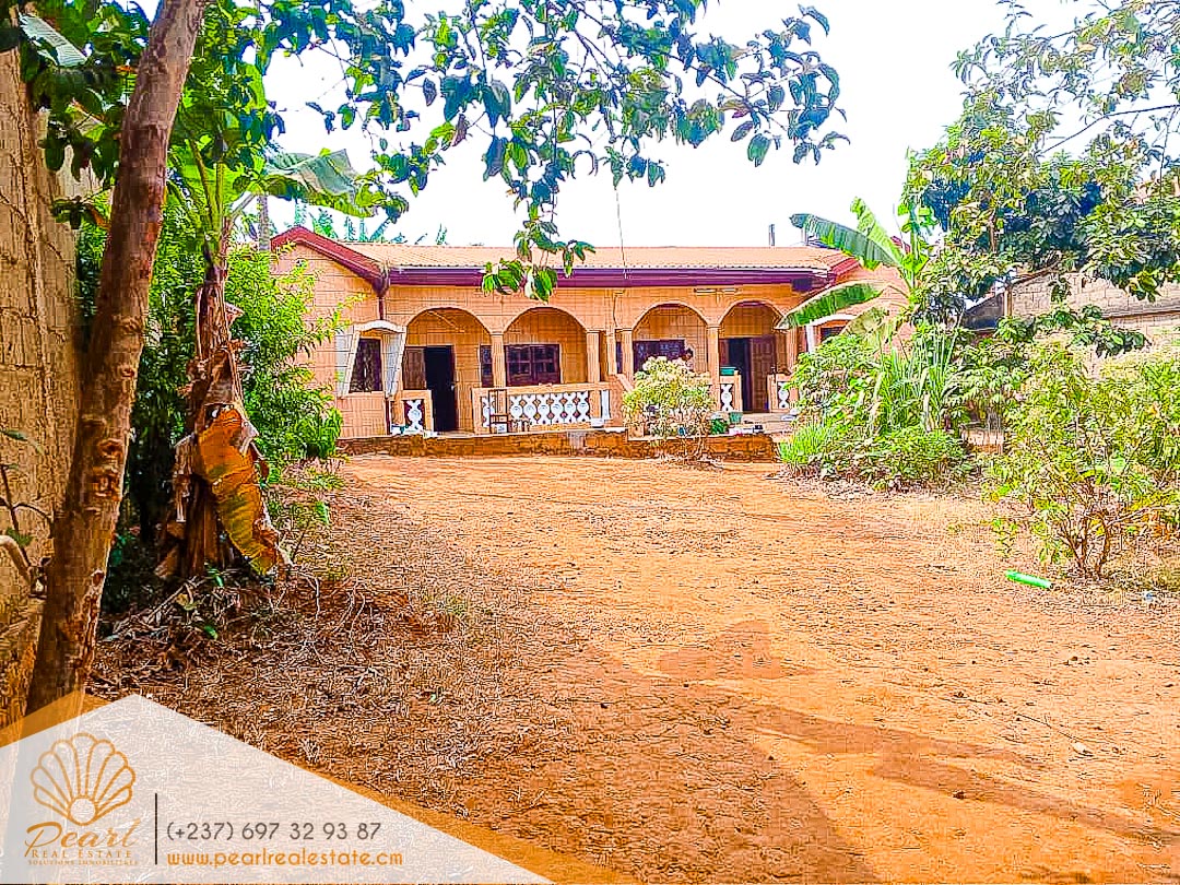 Maison (Concession) à vendre - Yaoundé, Essos, Mobil - 2 salon(s), 6 chambre(s), 4 salle(s) de bains - 65 000 000 FCFA