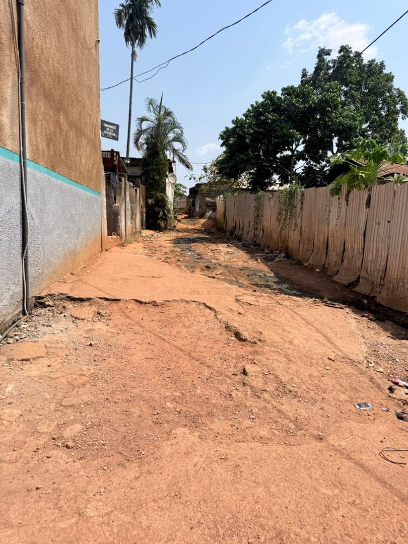 Terrain à vendre - Yaoundé, Nlongkak, sorepco - 544 m2 - 81 600 000 FCFA