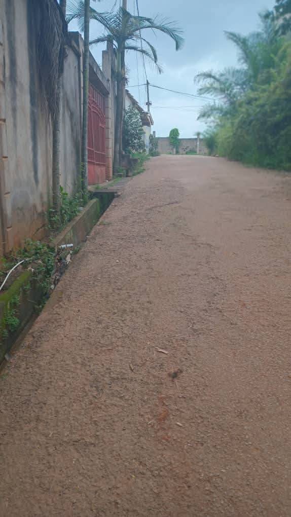 Terrain à vendre - Yaoundé, Odza, Messamedongo - 900 m2 - 27 000 000 FCFA
