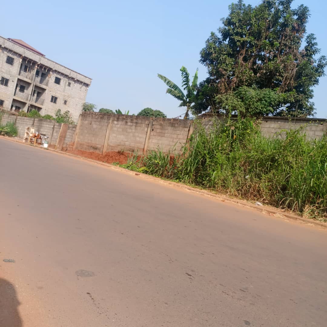 Terrain à vendre - Yaoundé, Soa, Fougerolles amity - 627 m2 - 25 080 000 FCFA