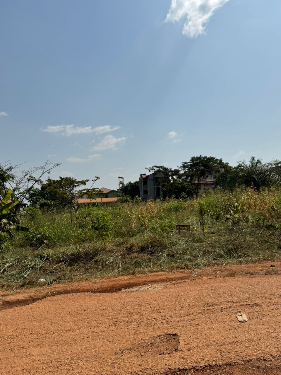 Terrain à vendre - Yaoundé, Mimboman I, Maeture - 12000 m2 - 960 000 000 FCFA