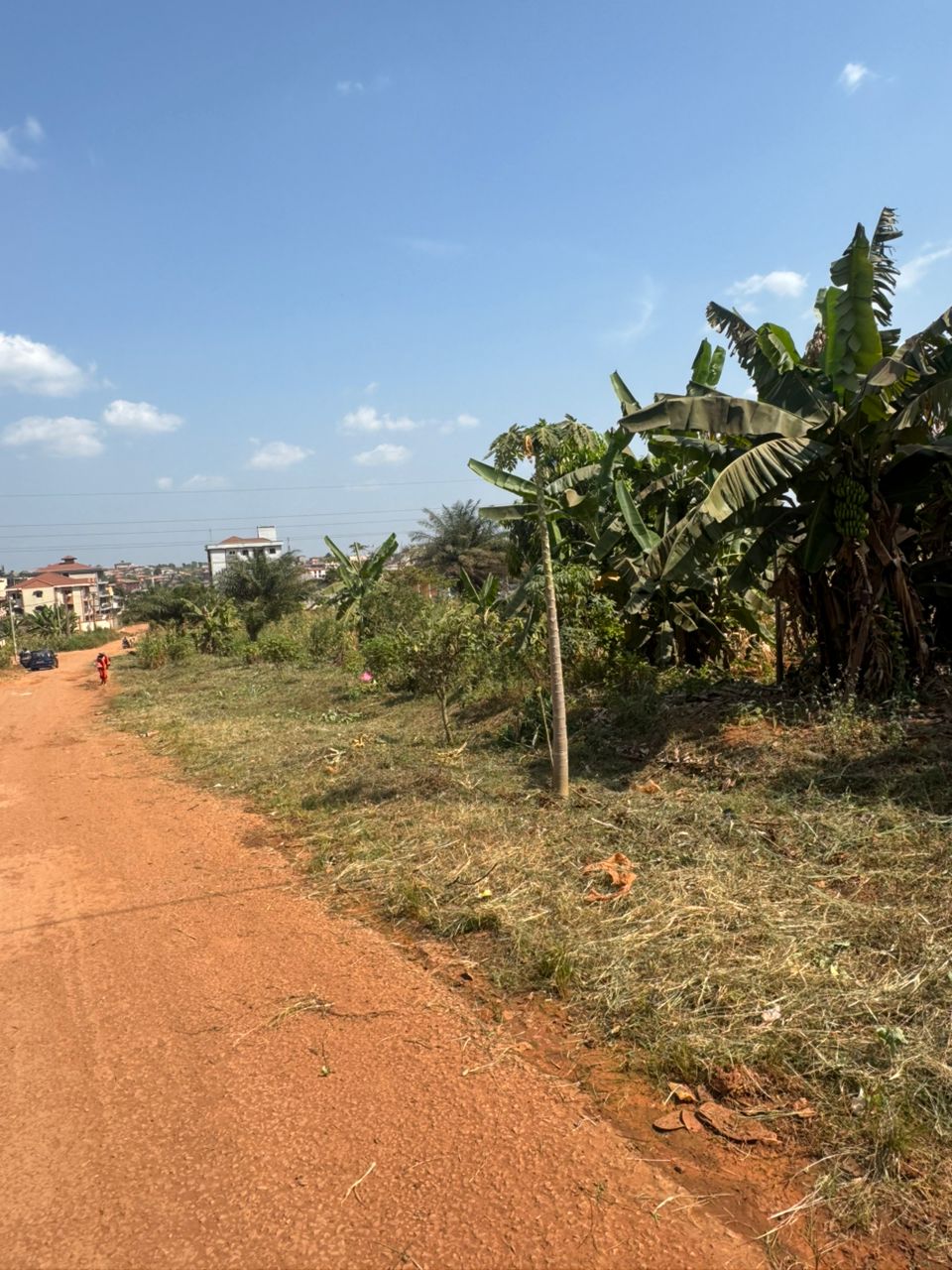 Terrain à vendre - Yaoundé, Mimboman I, Maeture - 12000 m2 - 960 000 000 FCFA