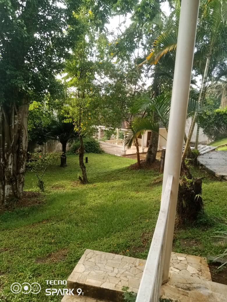 Bureau à louer à Yaoundé, Mvogbi, Base aérienne - 800 m2 - 800 000 FCFA