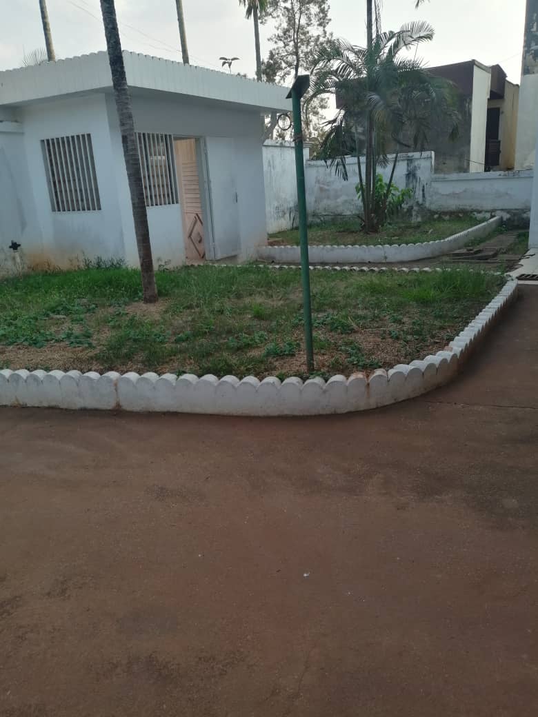 Bureau à louer à Yaoundé, Bastos, Bastos - 700 m2 - 1 000 000 FCFA