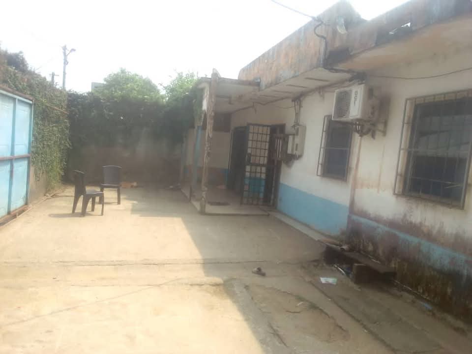 Maison (Villa) à vendre - Douala, Kotto, Après la mosquée  kotto villa de couloir - 1 salon(s), 4 chambre(s), 3 salle(s) de bains - 65 000 000 FCFA