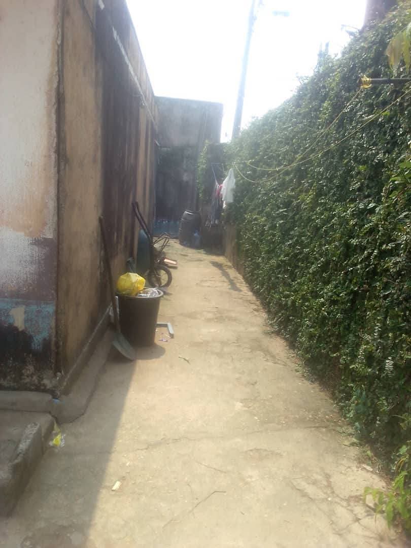 House (Villa) for sale - Douala, Kotto, Après la mosquée  kotto villa de couloir - 1 living room(s), 4 bedroom(s), 3 bathroom(s) - 65 000 000 FCFA / month