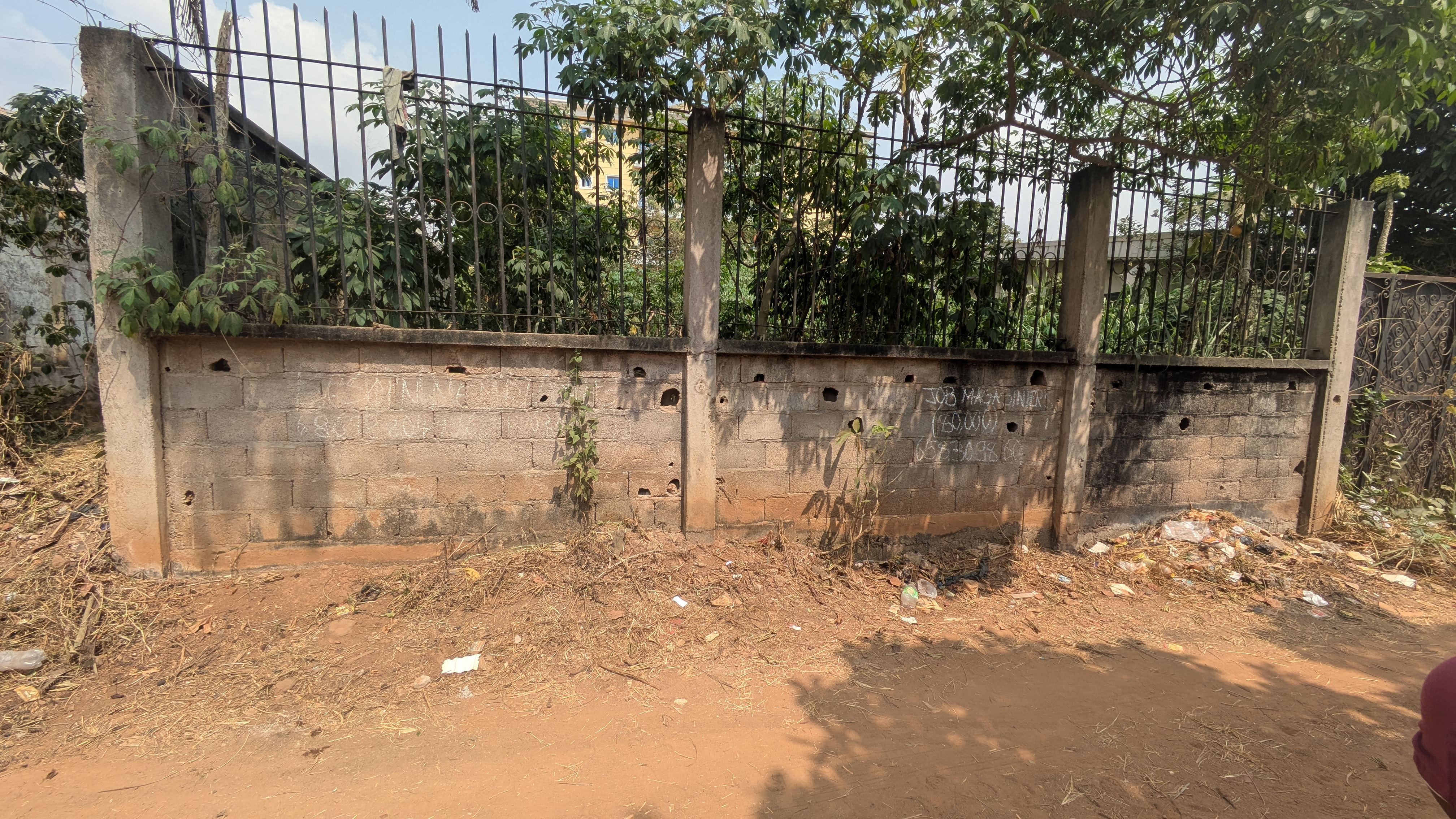 Terrain à vendre - Yaoundé, Odza, Auberge bleu - 300 m2 - 20 000 000 FCFA