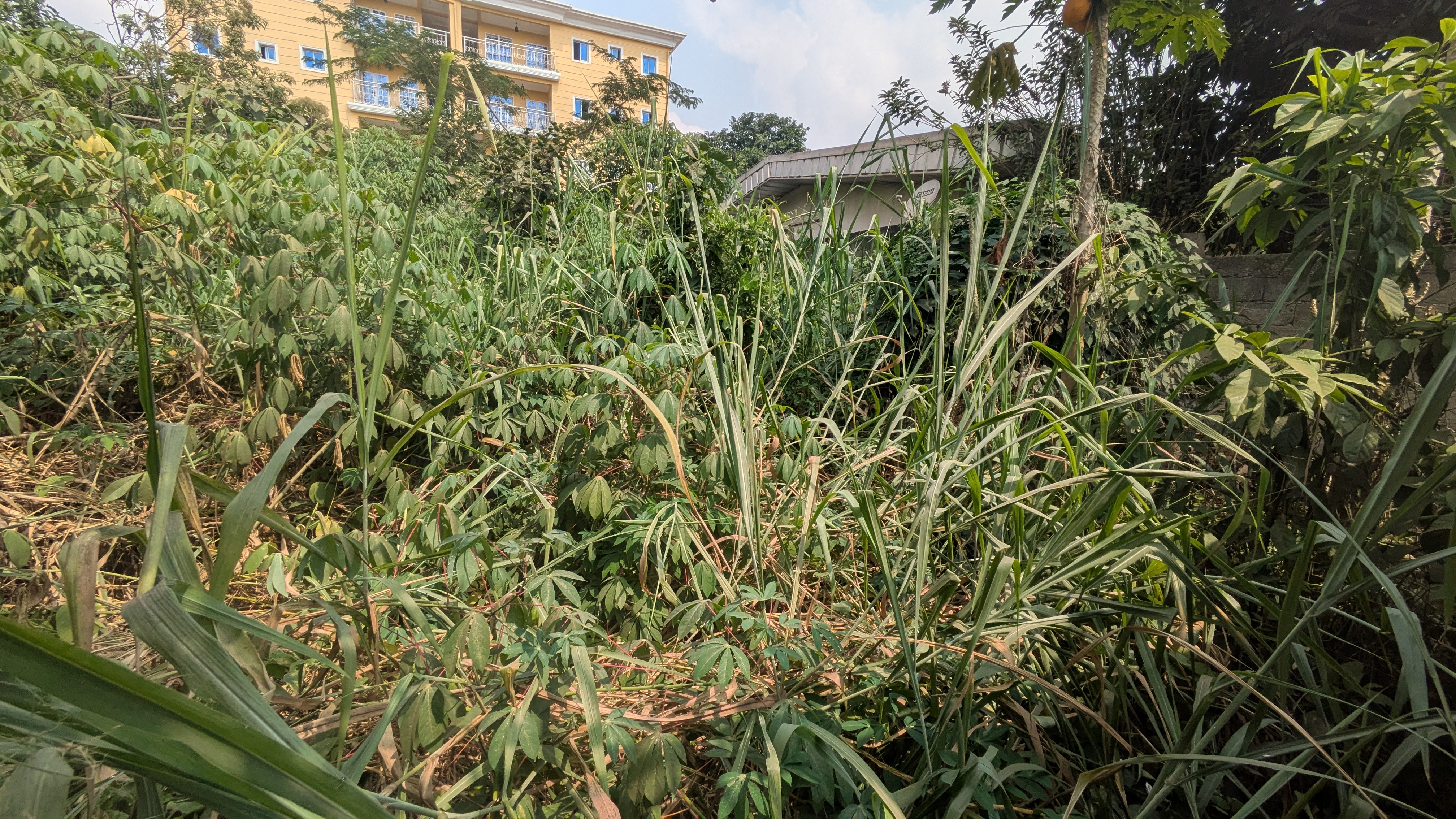 Terrain à vendre - Yaoundé, Odza, Auberge bleu - 300 m2 - 20 000 000 FCFA