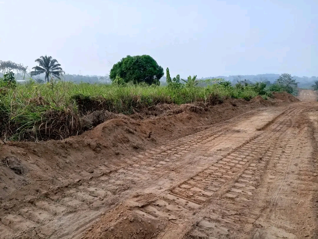 Terrain à vendre - Douala, PK 27, Pk27 - 2000 m2 - 20 000 000 FCFA