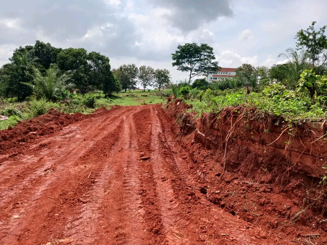 Terrain à vendre - Yaoundé, Mbankomo, Bankomo - 2500 m2 - 10 000 000 FCFA