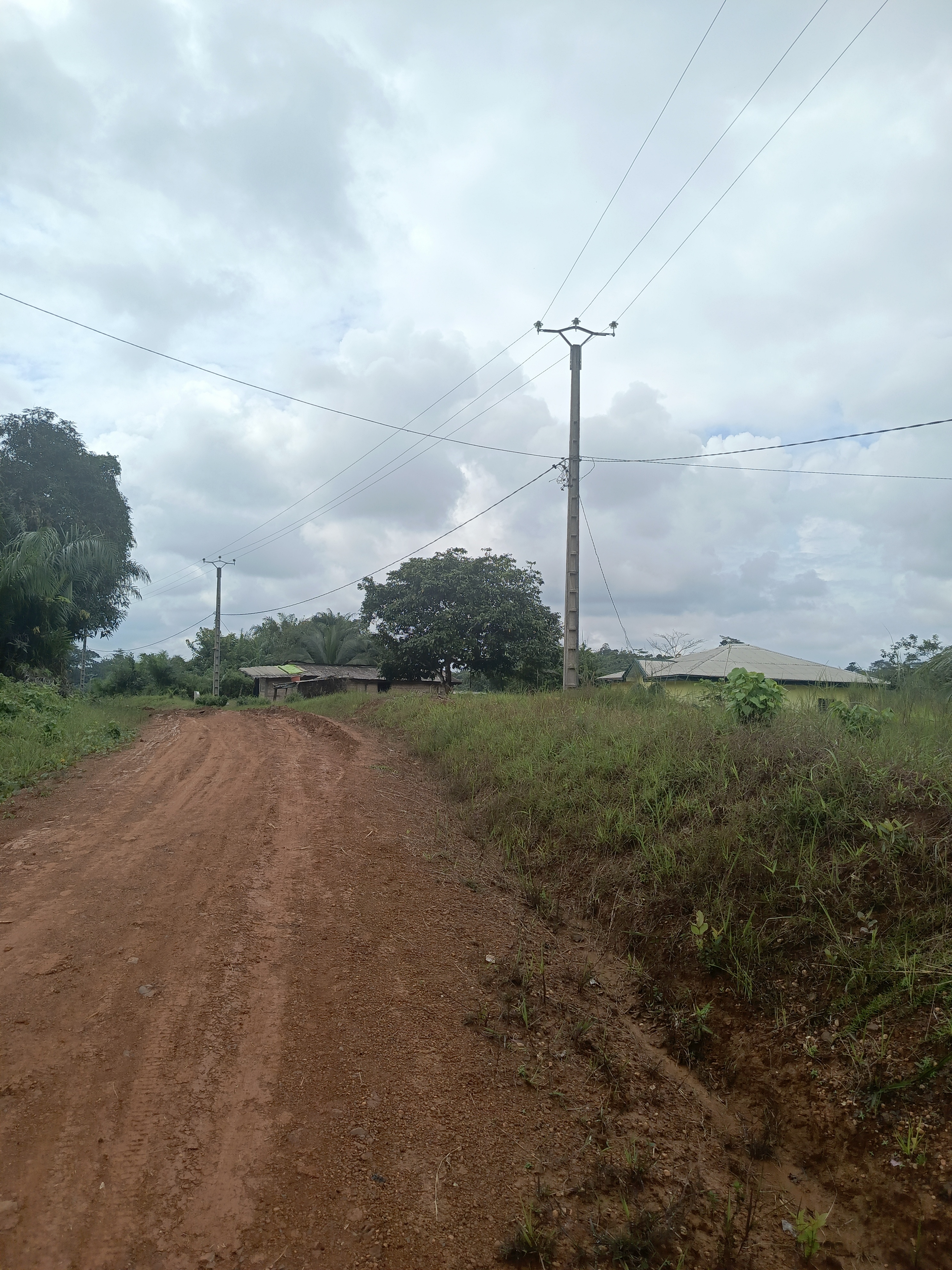 Terrain à vendre - Douala, PK 19, Pk19 - 1000 m2 - 15 000 000 FCFA