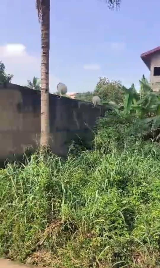 Terrain à vendre - Yaoundé, Ngousso, ngousso - 479 m2 - 18 000 000 FCFA