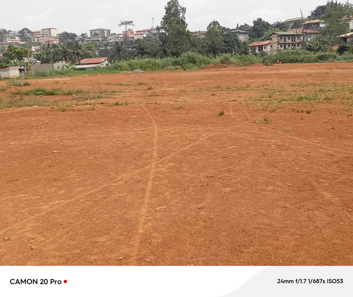 Terrain à vendre - Yaoundé, Mvan, complexe beac - 6000 m2 - 210 000 000 FCFA